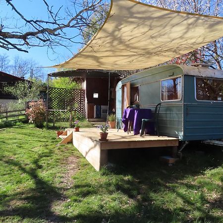 Cosy Cabane Montbrun-Bocage Exteriér fotografie